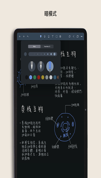 飞语app、飞语app做单赚钱安全吗