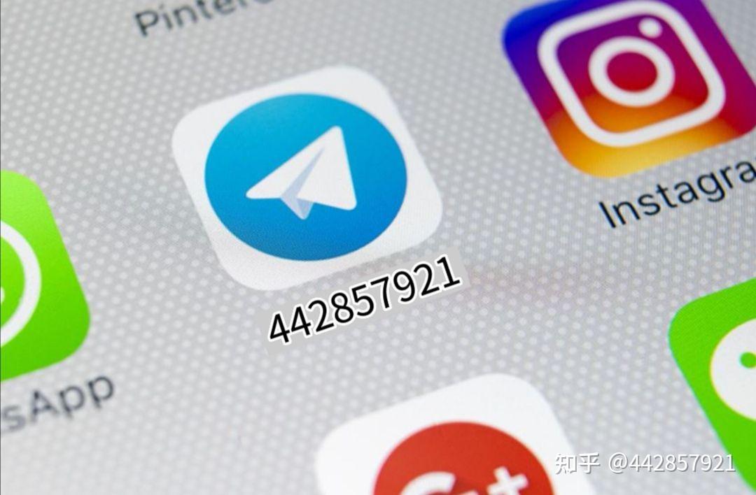 下载纸飞机聊天软件、纸飞机聊天软件违法吗
