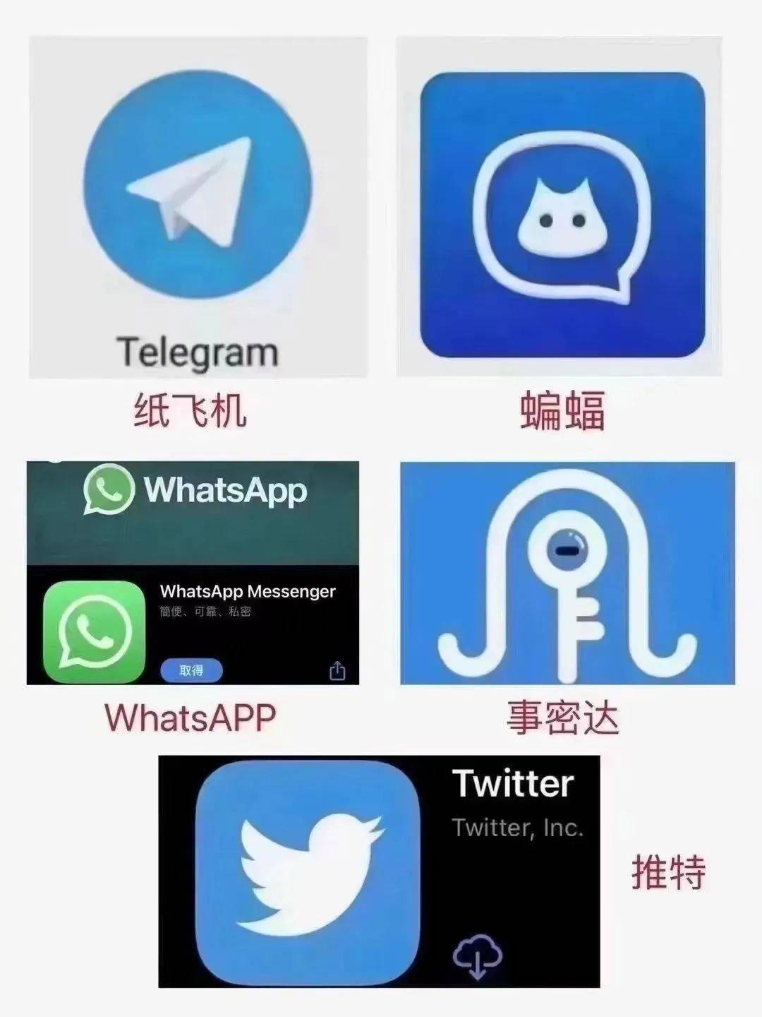 关于纸飞机app下载官网安卓的信息