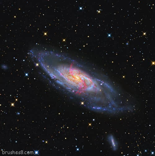 telescope加速器免费、telescope加速器官网下载