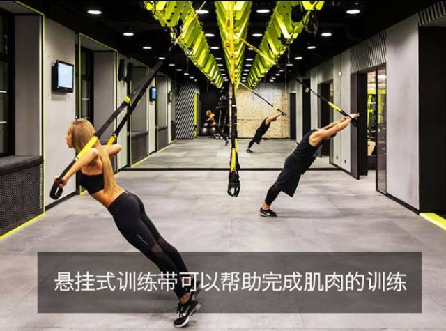 trx训练APP、trx训练动作视频