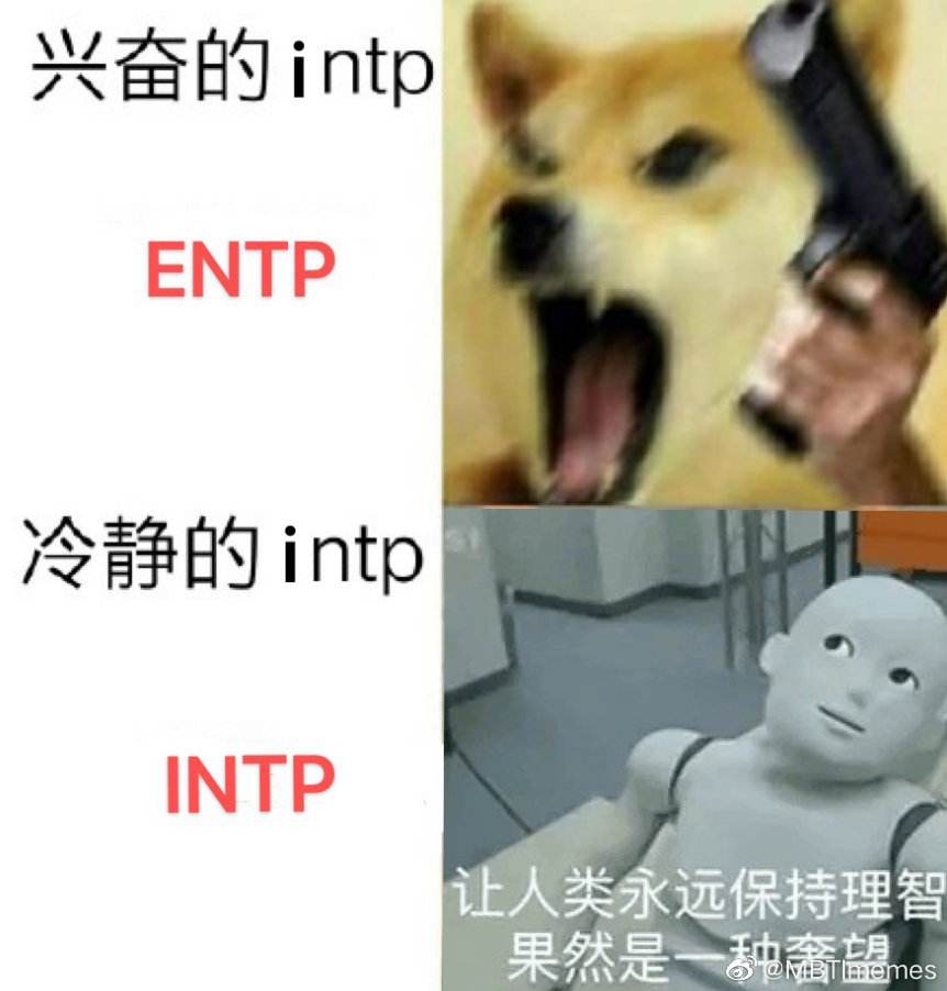 intp官网图片、infp官网形象图片
