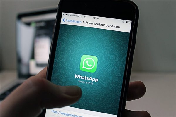 whatsappllc、whatsapp官方网下载