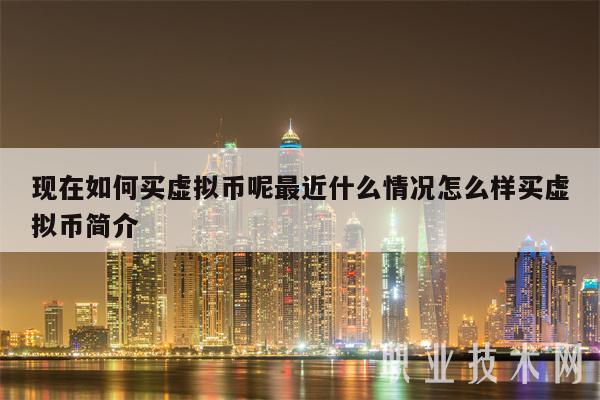 网上虚拟币是什么意思、网上的虚拟币是怎么回事