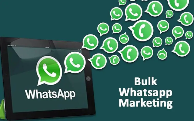 whatsapp读什么、whatsapp中文怎么读