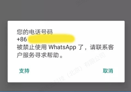 whatsapp怎么加好友教程的简单介绍