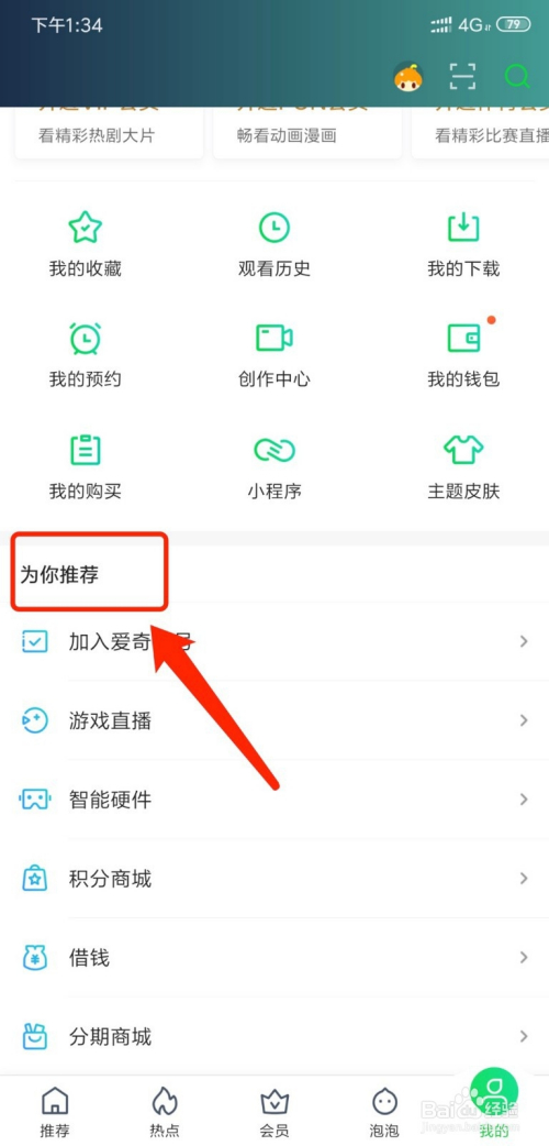 纸飞机大会员怎么开、纸飞机ssr官网充值