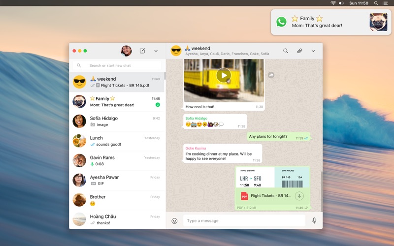 whatsapp下载官网国际、downloadwhatsapp