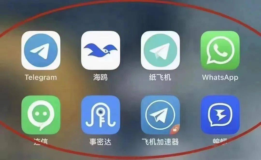 纸飞机telegeram下载的文件在哪一个文件夹的简单介绍