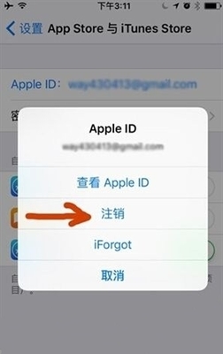 纸飞机苹果怎么改中文、苹果纸飞机怎么转换中文