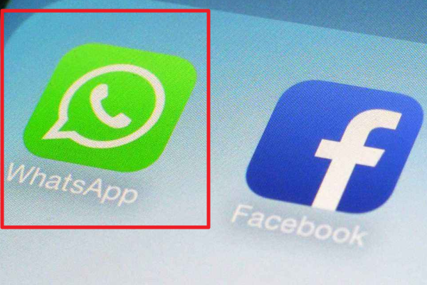whatsapp官方中文版、whatsappcomdownload