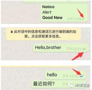 whatsapp账号怎么加好友、whatsapp如何添加好友账号