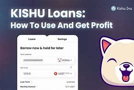 kishu币最新动态、kishu币最新消息网站
