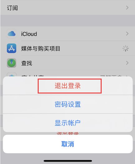 skype苹果版怎么登陆不上，为什么近期skype在苹果手机上登不了