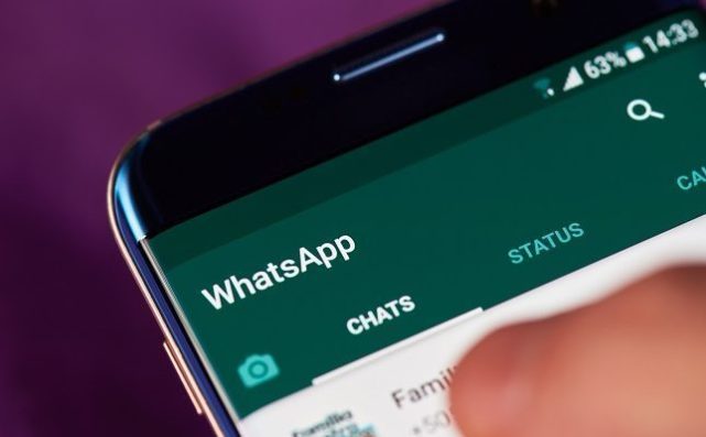whatsapp官网下载ipad，whatsapp官网下载最新版2024