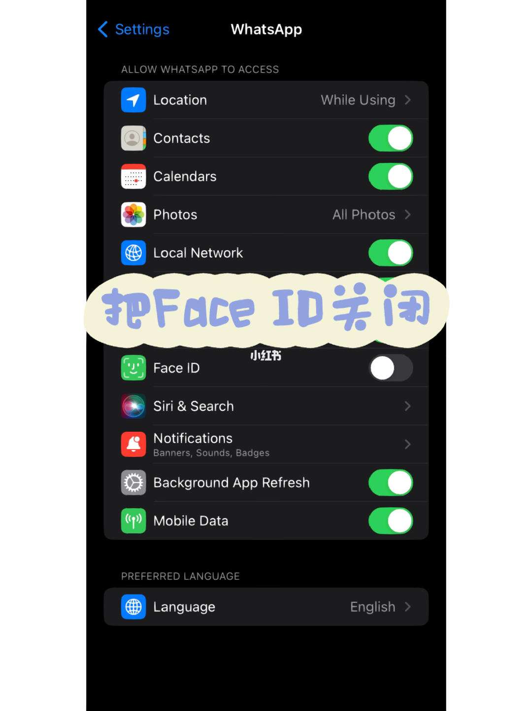 whatsapp苹果怎么下载，whatsapp苹果下载安装包
