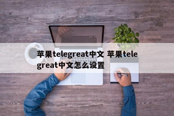 飞机汉化包怎么弄苹果，苹果版的飞机怎么汉化版