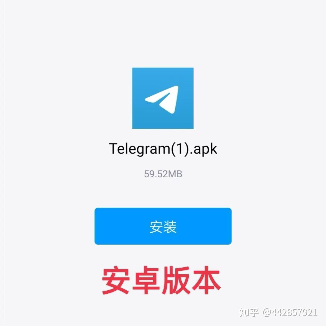 飞机中文语言包，纸飞机安装zh_cn语言包