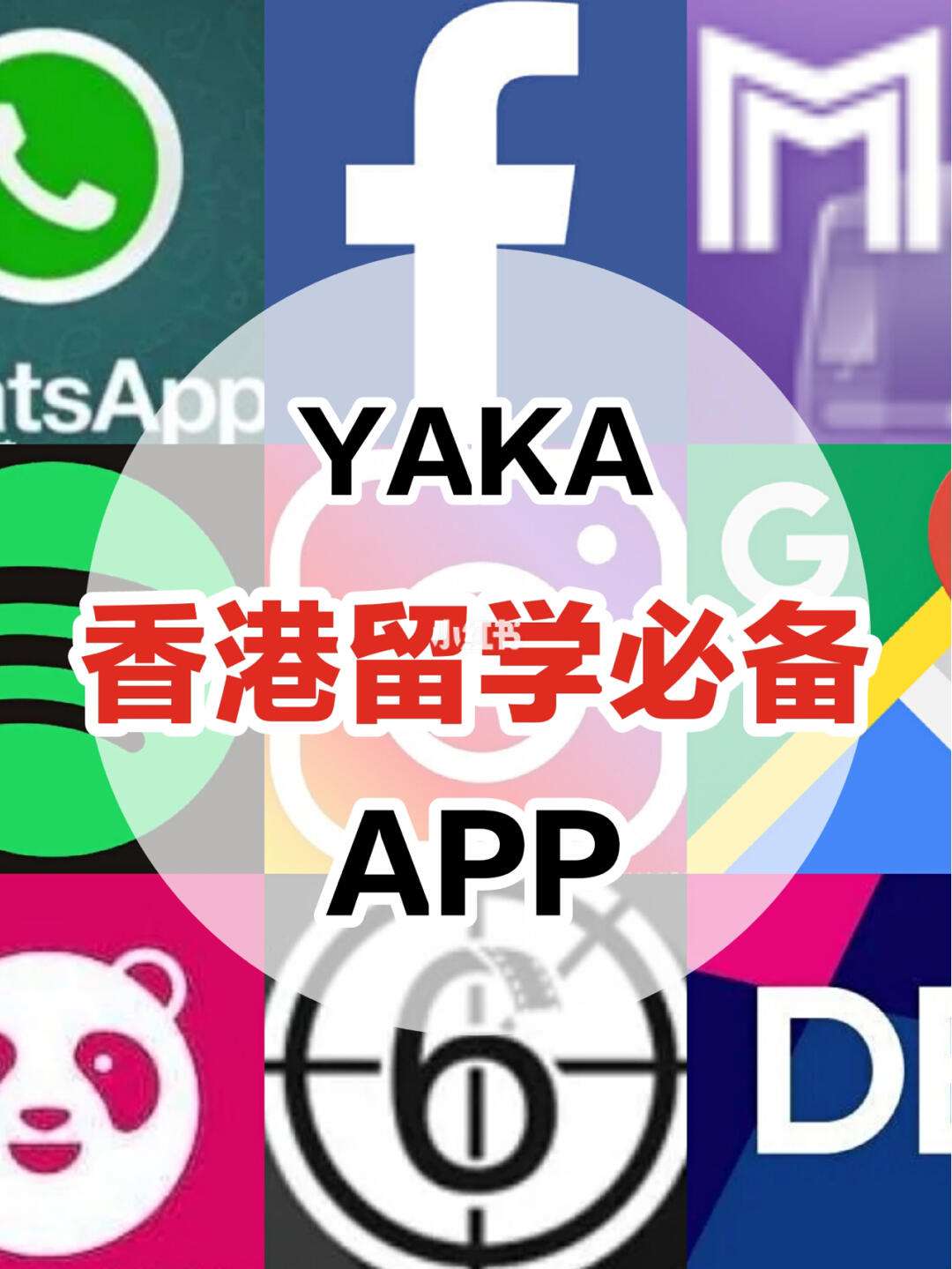 whatsapp香港交流群，香港人whatsapp比较多嘛