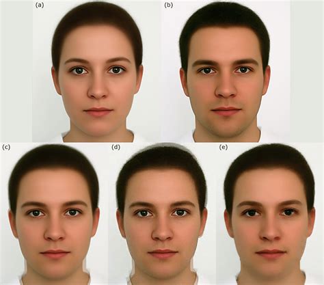 face是什么意思，faces是什么意思