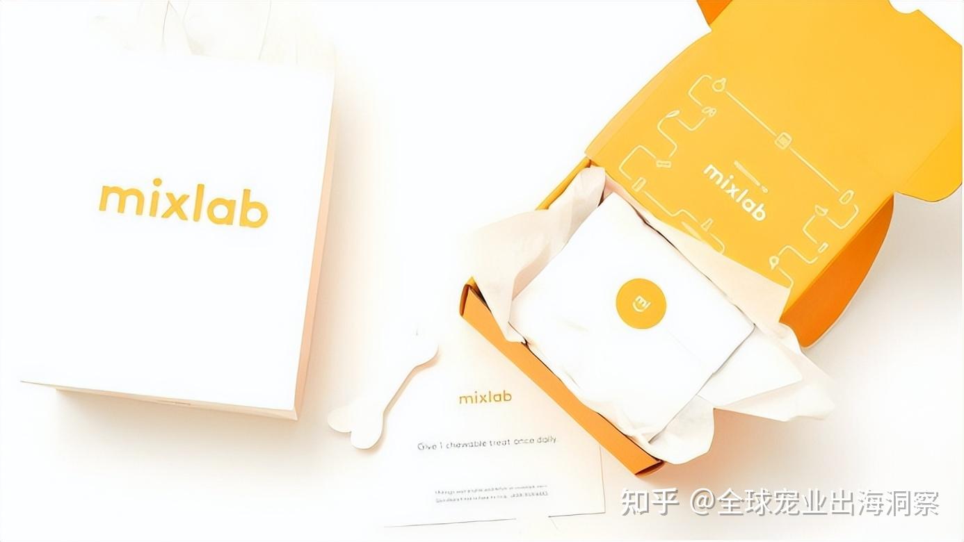 whatsapp下载最新版2021，whatsapp_whatsapp全版本下载安装