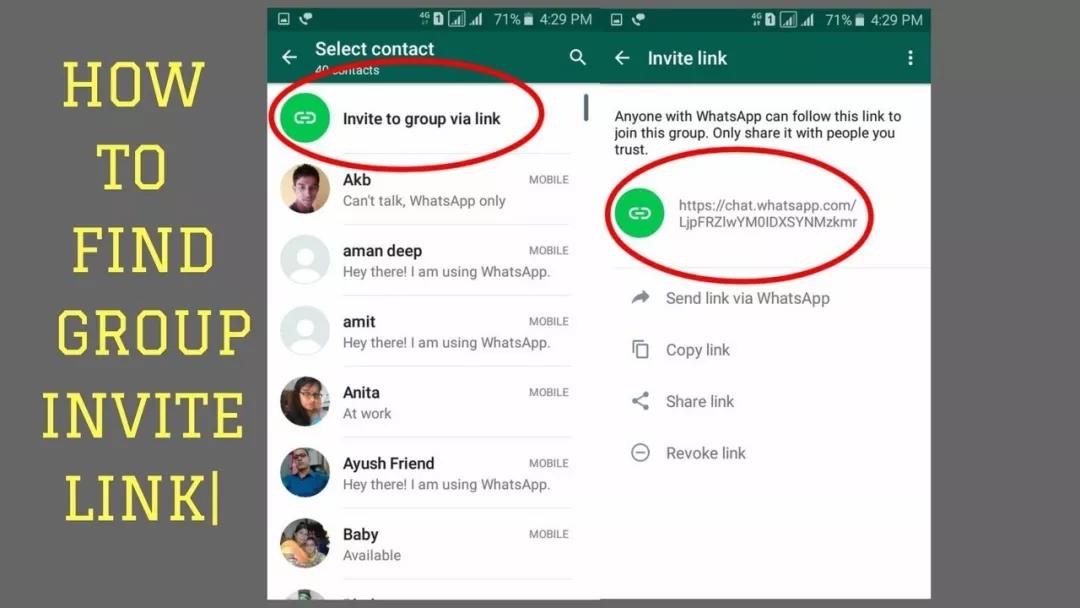 whatsapp官网网页版，whatsapp website
