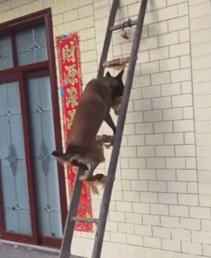 爬梯子的表情图，爬梯子图片人物动态