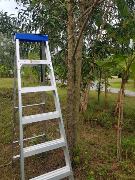 pc免费梯子推荐，pc端好用的免费梯子