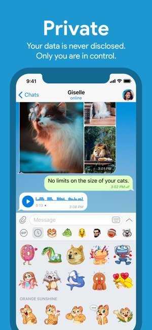 telegreat苹果手机中文版下载，telegreat中文手机版下载ios