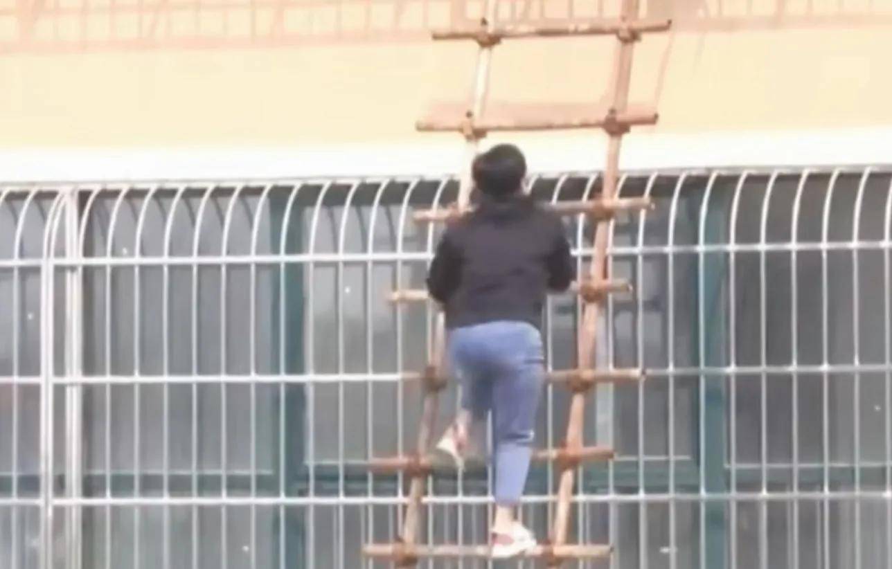 脸书挂哪个梯子，脸书挂哪个梯子好用