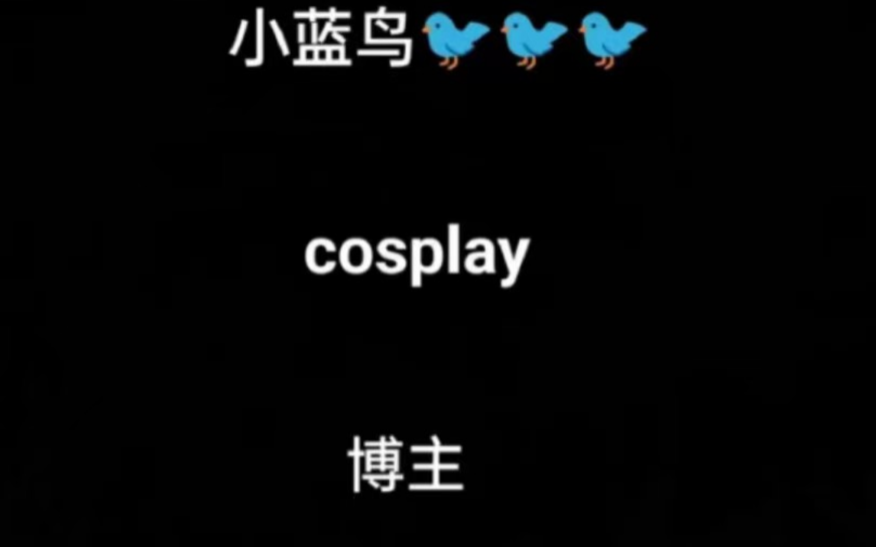 关于梯子小蓝鸟的信息