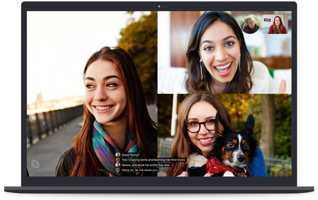 skype英文意思，skype的汉语意思