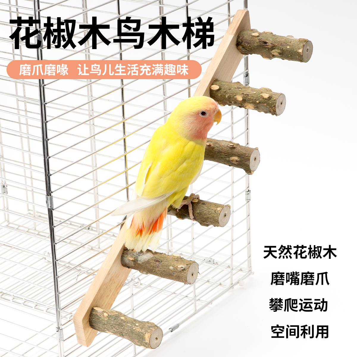 梯子游戏正规网站，梯子游戏网站叫什么