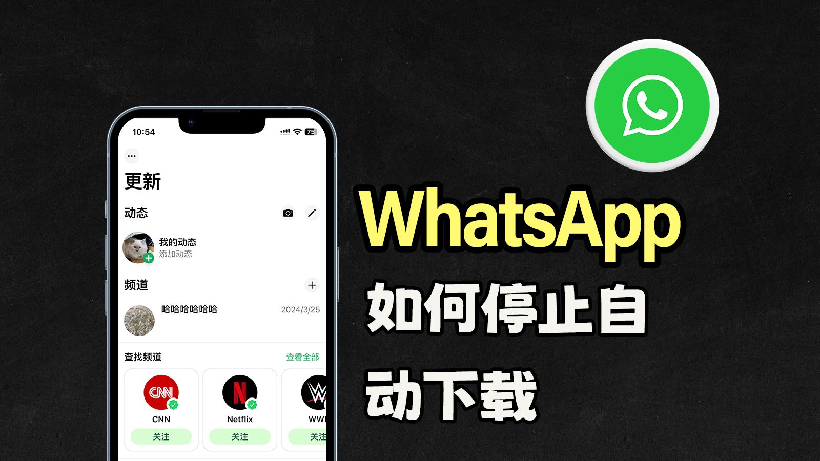 苹果下载whatsapp怎么用不了，whatsapp苹果版下载 为什么用不了