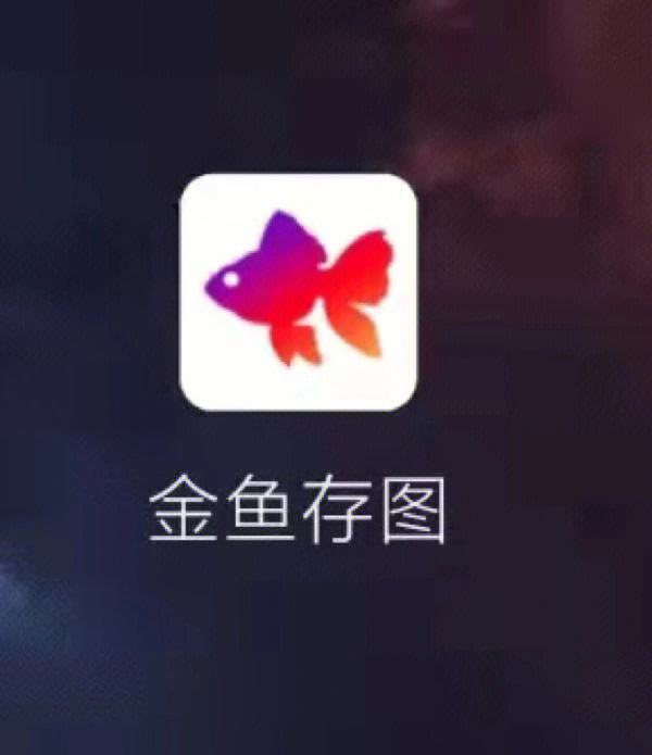 ins软件下载，ins软件下载安卓版