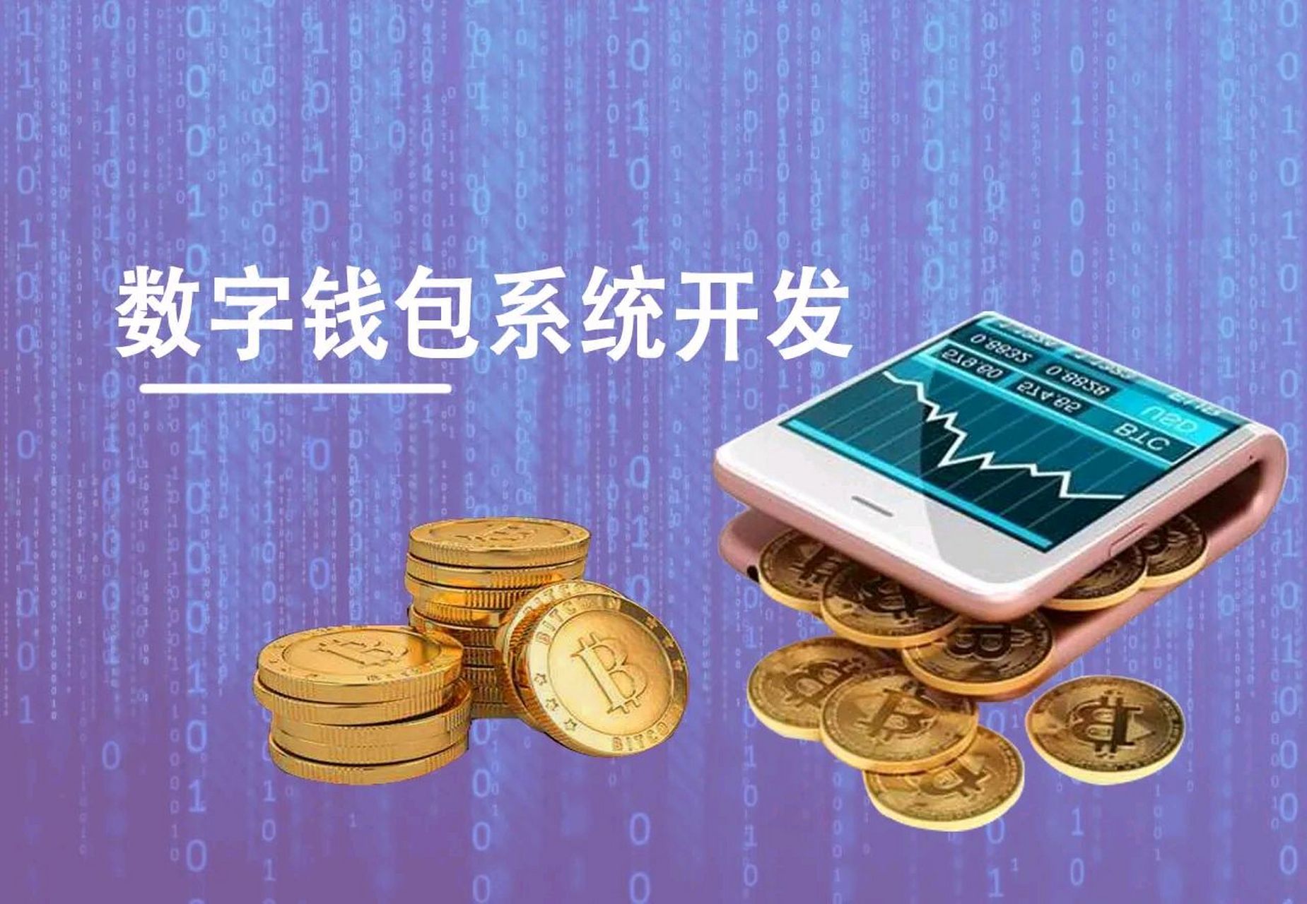 数字钱包官网，数字钱包官网登录入口
