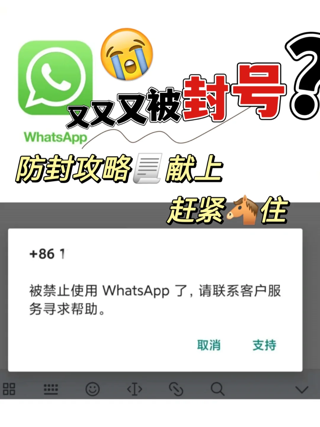whatsapp香港号码验证，whatsapp中国手机号验证