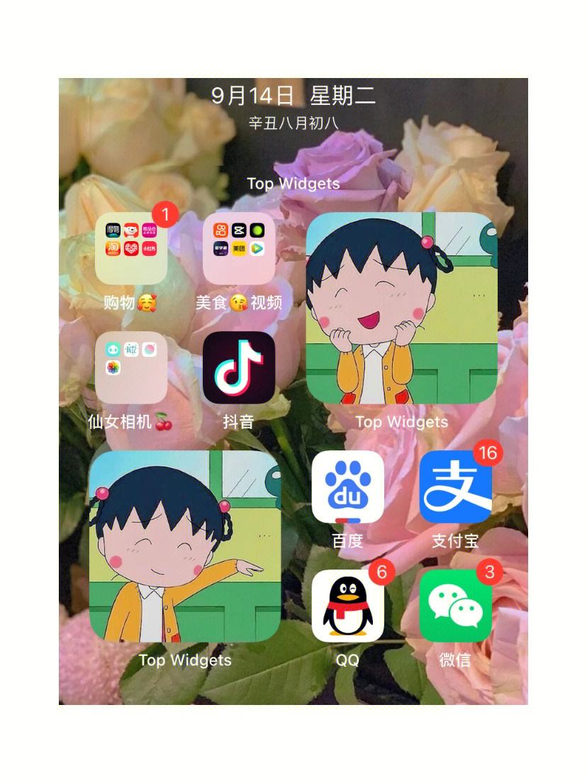 苹果手机app安装下载到桌面，苹果手机app安装下载到桌面找不到