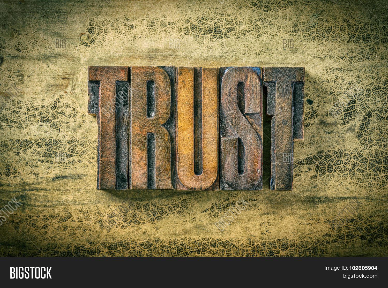 trustdownload的简单介绍