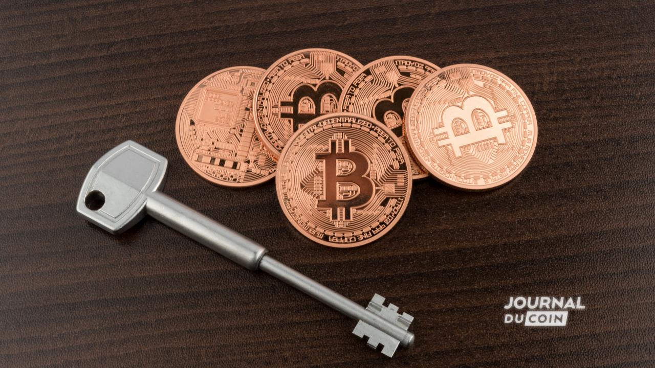 波币钱包官方网站，波币钱包app最新版