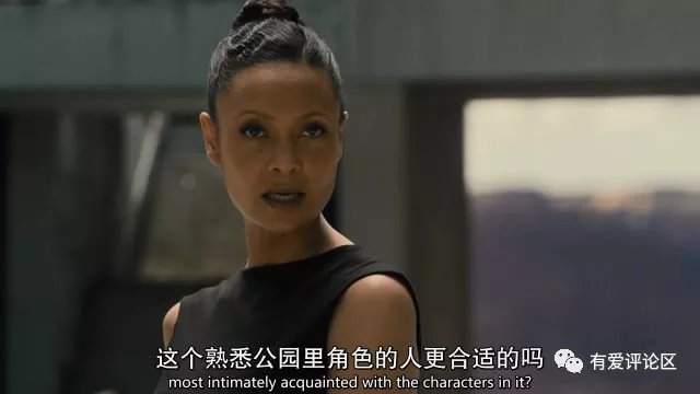 西部世界梯子，vp加速器七天试用