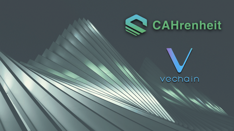 coinw币赢网官网，币赢国际站coinw官方下载