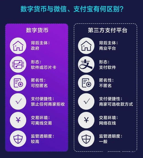 虚拟币钱包是什么用的，虚拟币钱包的选择  详解!