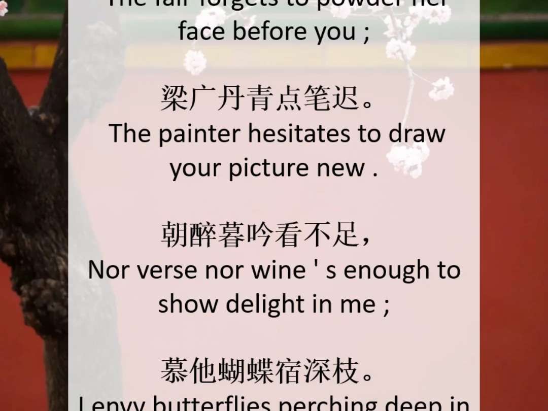 英文翻译中文，英文翻译中文在线翻译