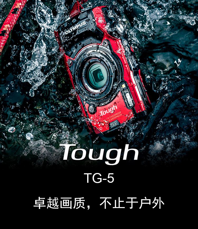 tg官网入口，TG官网入口下载