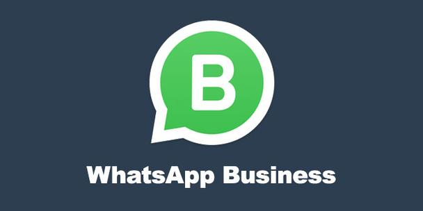whatsapp下载安卓官网版，whatsapp官方网下载安卓版