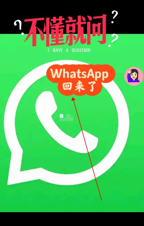 whatsapp国内手机号,whatsapp国内手机号收不到验证码