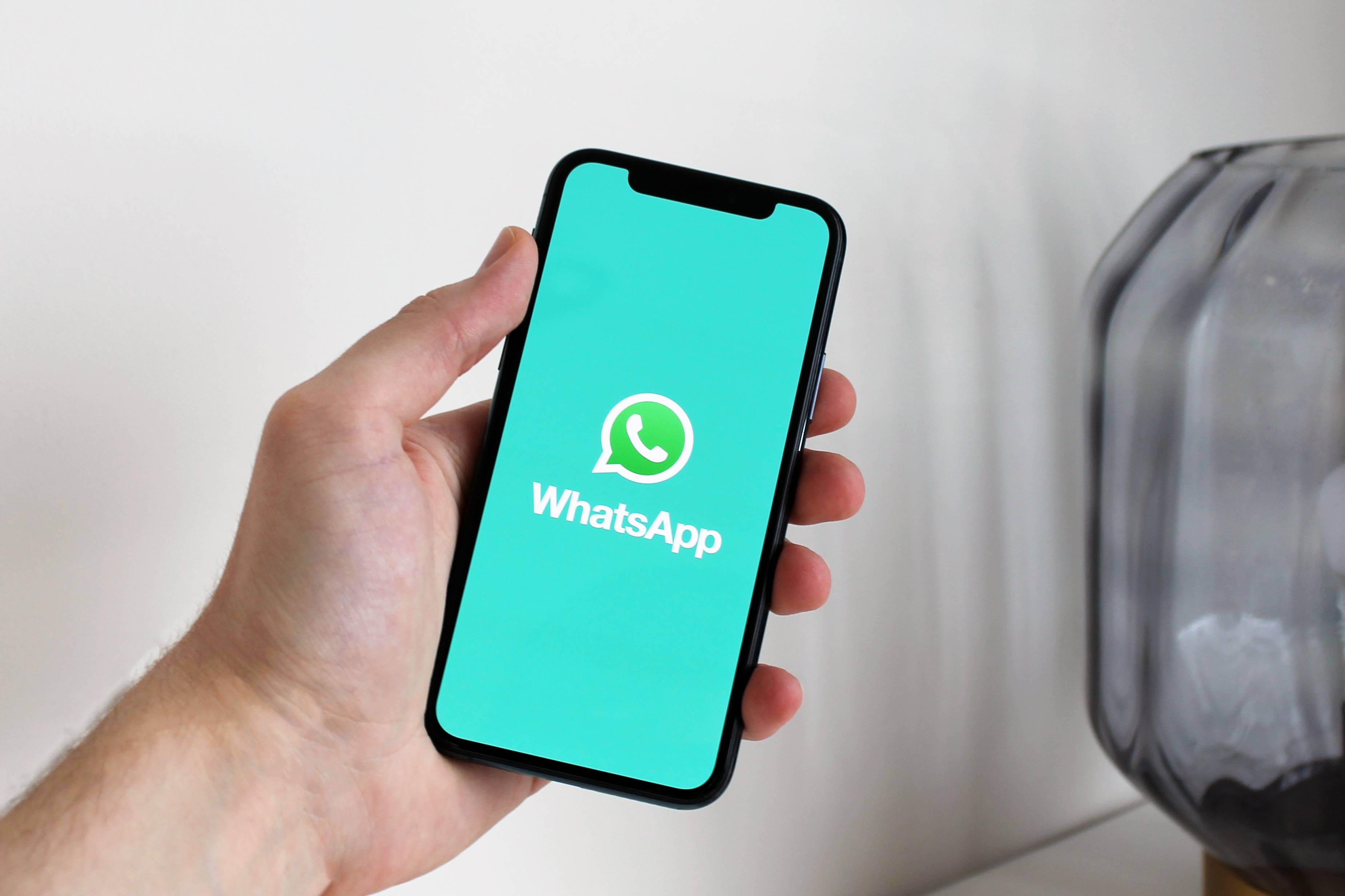 whatsapp下载apkpure,WhatsAPP下载 telecharger