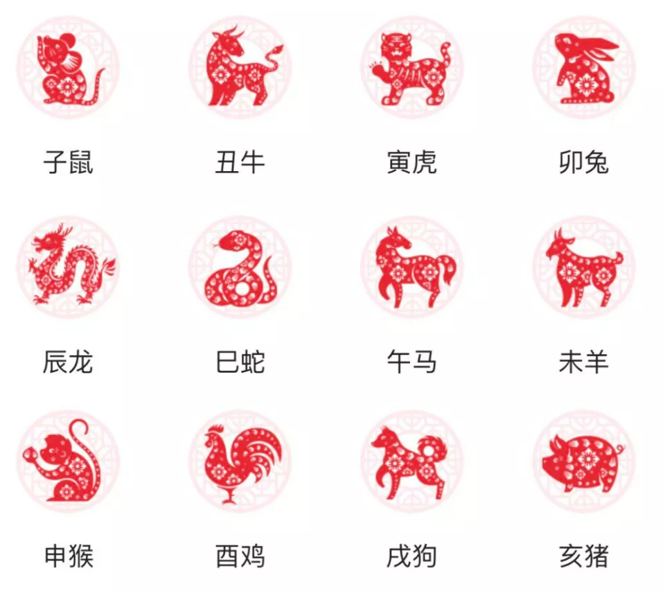 一清二白代表什么生肖,一清二白代表什么生肖动物