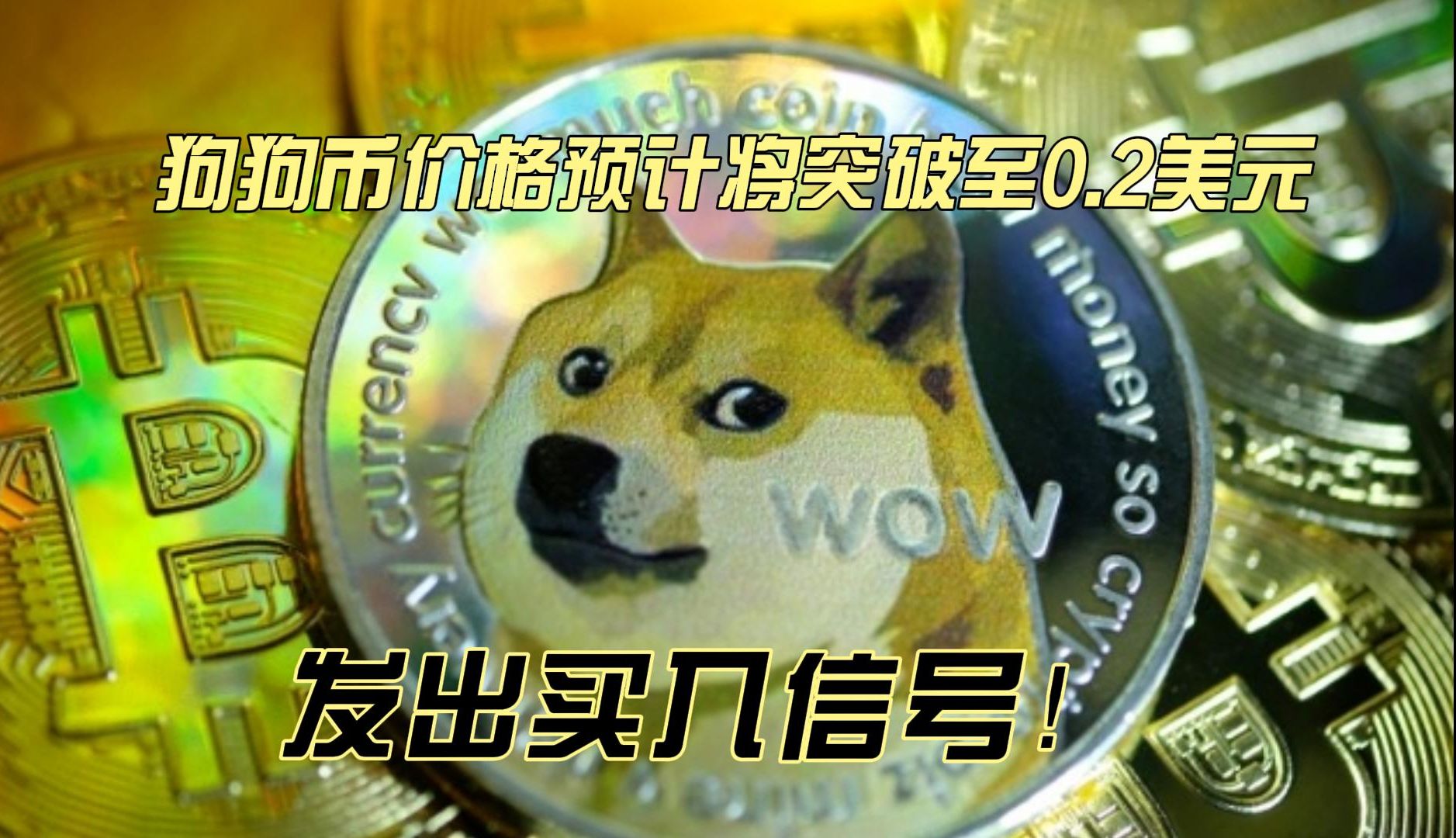 狗狗币最新价格,狗狗币最新价格多少